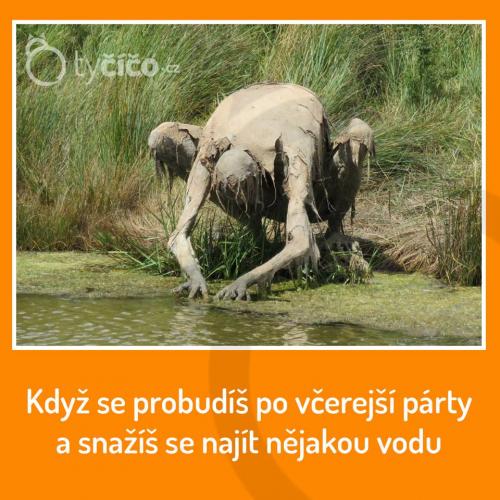  Včerejší party 