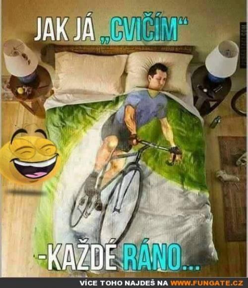  Cvičení 