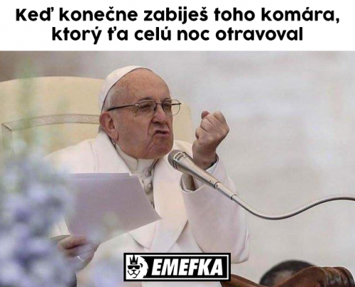  Komár 