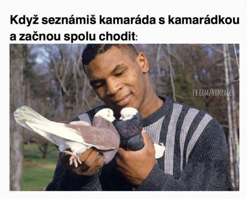 Hrdličky