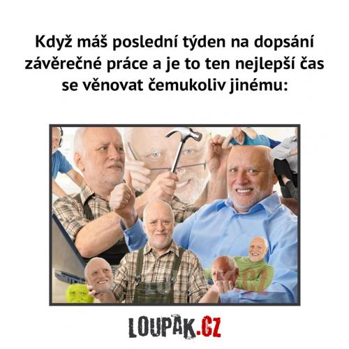  Závěrečná práce 