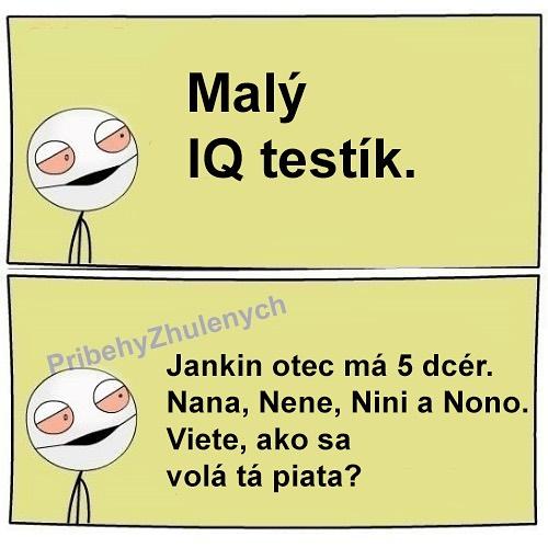  IQ test 