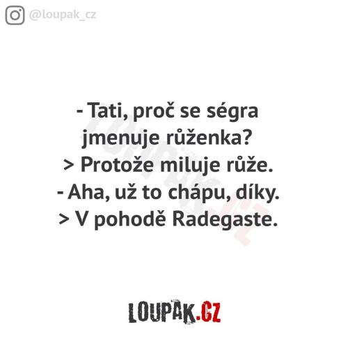 Růženka