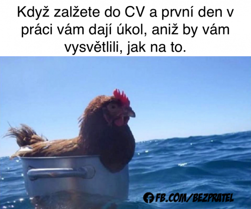 Tak nashle