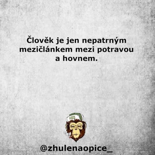 Mezičlánek