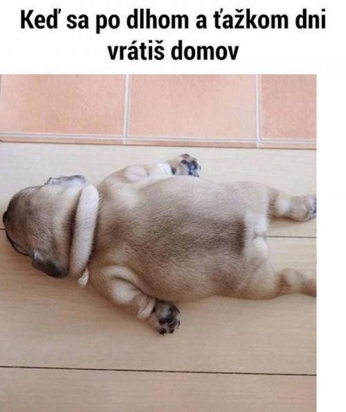  Domov 