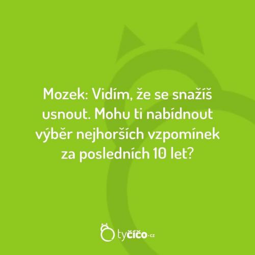  Mozek 