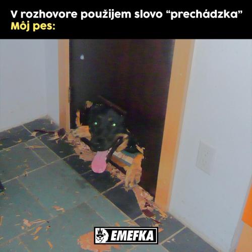  Procházka 