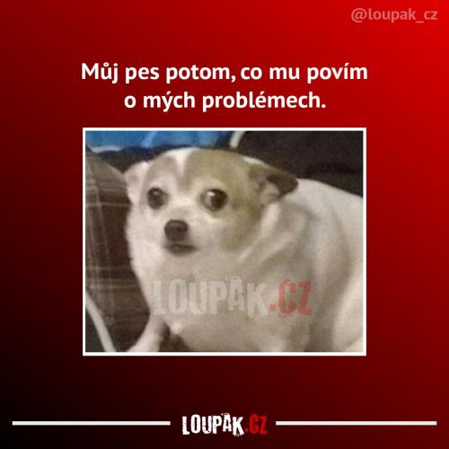 Asi ho to vyděsilo