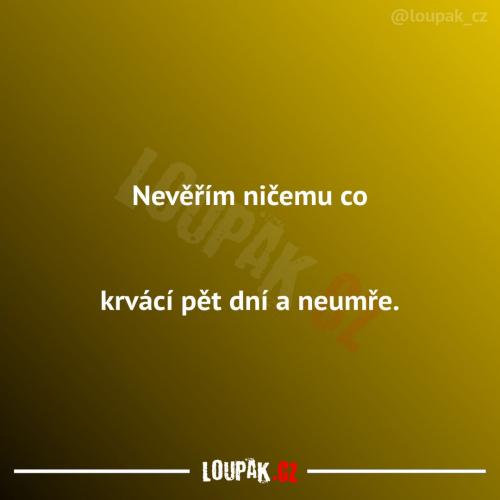 Obrázek č. 1072720