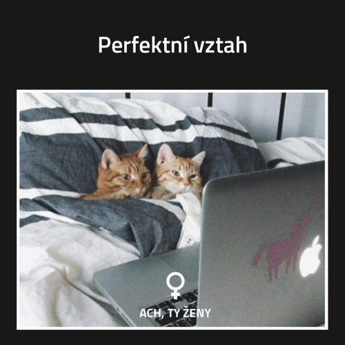  Perfektní vztah 