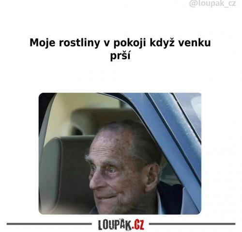 Asi docela dost závidí