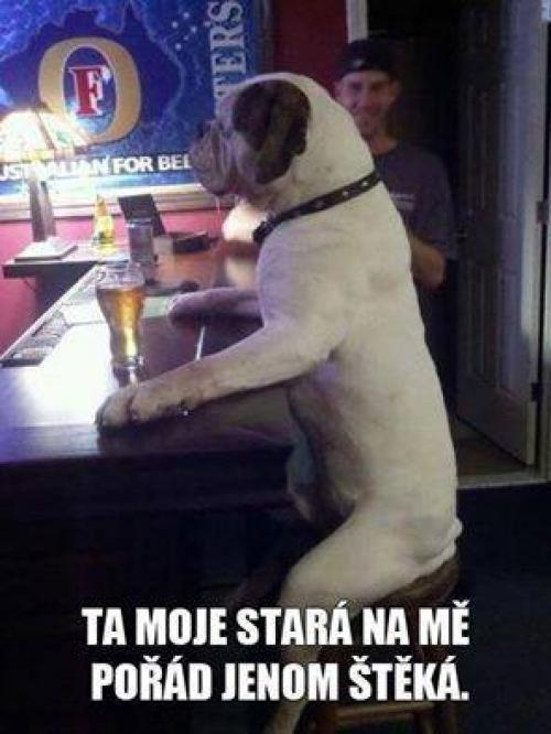 Štěká