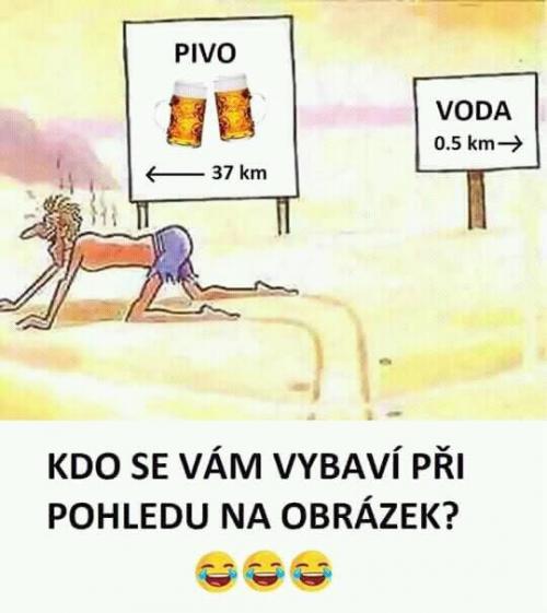  Pivo nebo voda 