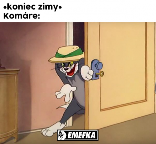  Zima 