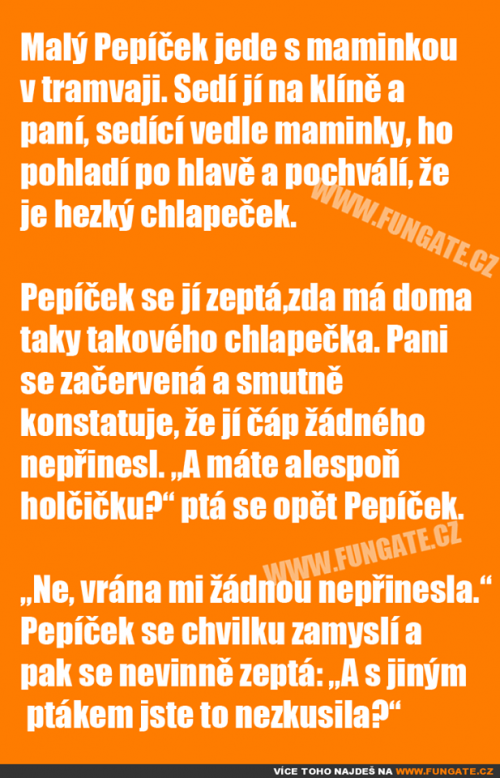 Papíček