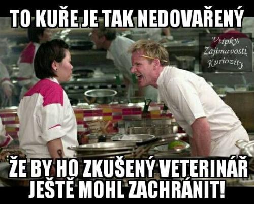 Nedovařené