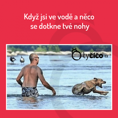  Tvé nohy 