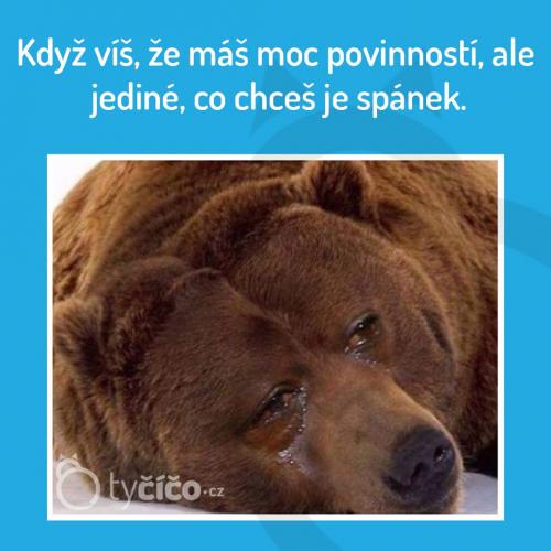  Spánek 