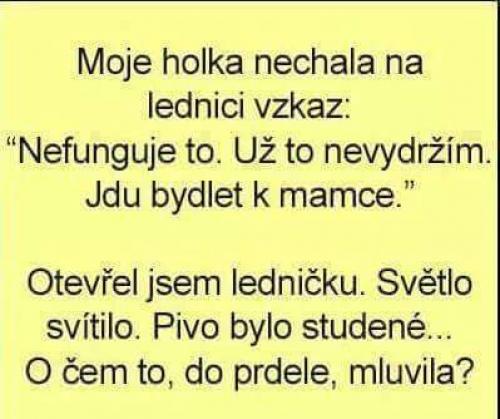  Moje holka 