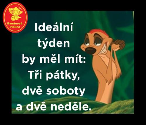  Ideální týden 