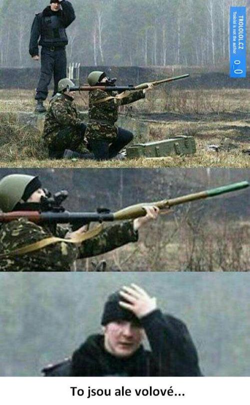 Volové