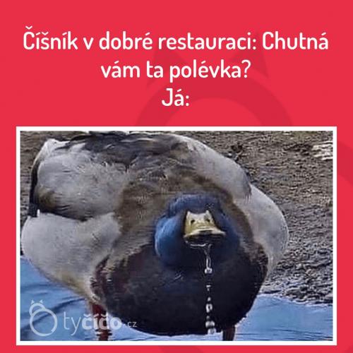  Je to něco skvělého 