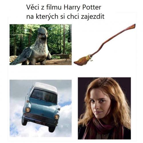  Potter 