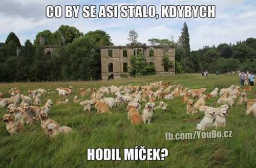 Co by se