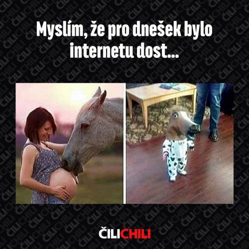 Stačilo