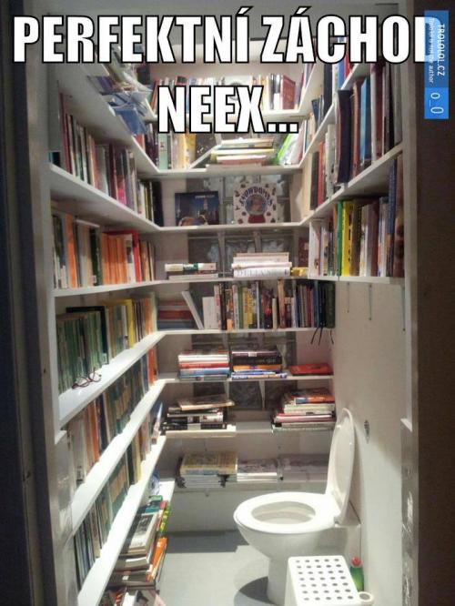 NEEX