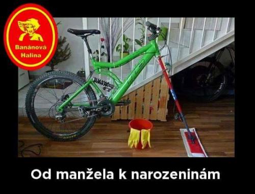  Manžel 