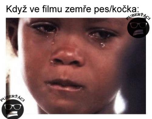 Zemře