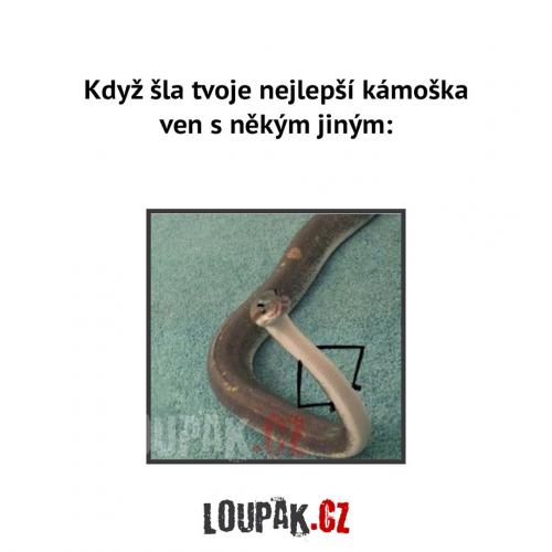  Nejlepší kámoška 