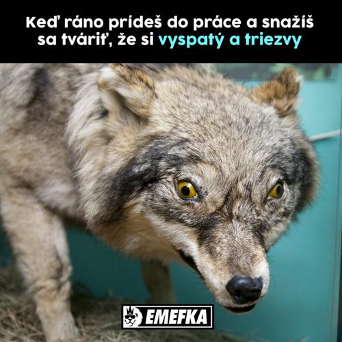  Práce 