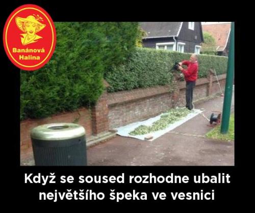 Souused