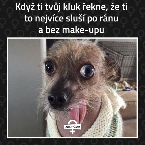 Makeupy