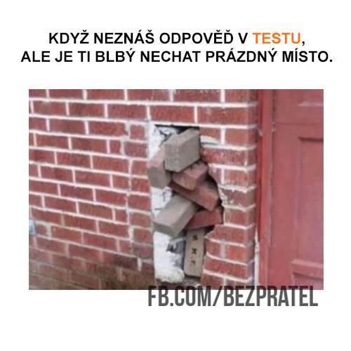  Odpověď 