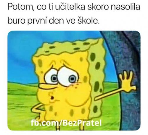  Učitelka 