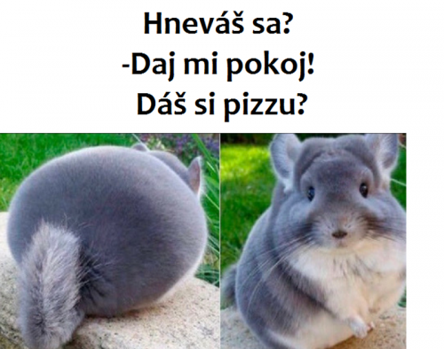  Pokoj 