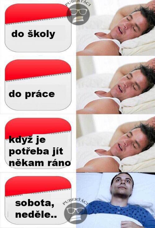  Do práce 