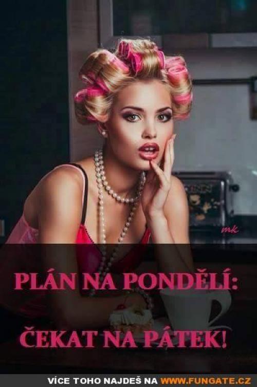  Plán na pondělí 