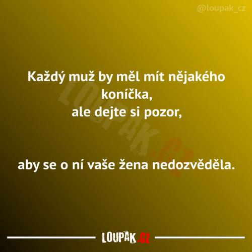  Každý muž by měl mít nějakého koníčka 