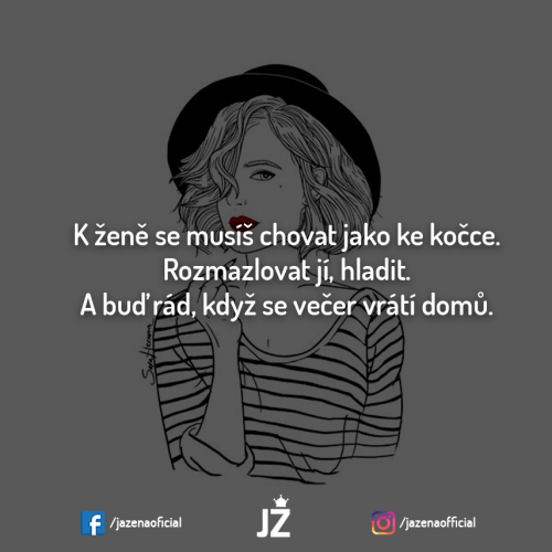  Kočka 