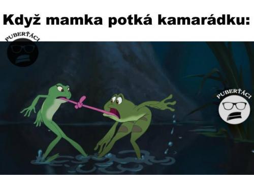 Kamaárdka