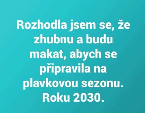  Rozhodnutí 