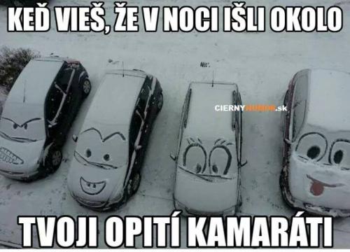  Kamarádi 