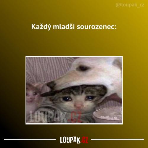  To nevypadá moc dobře 