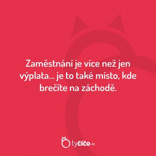 Zaměstnnání