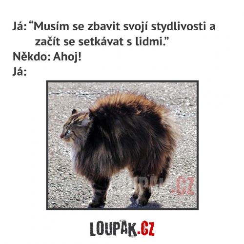  Setkání 